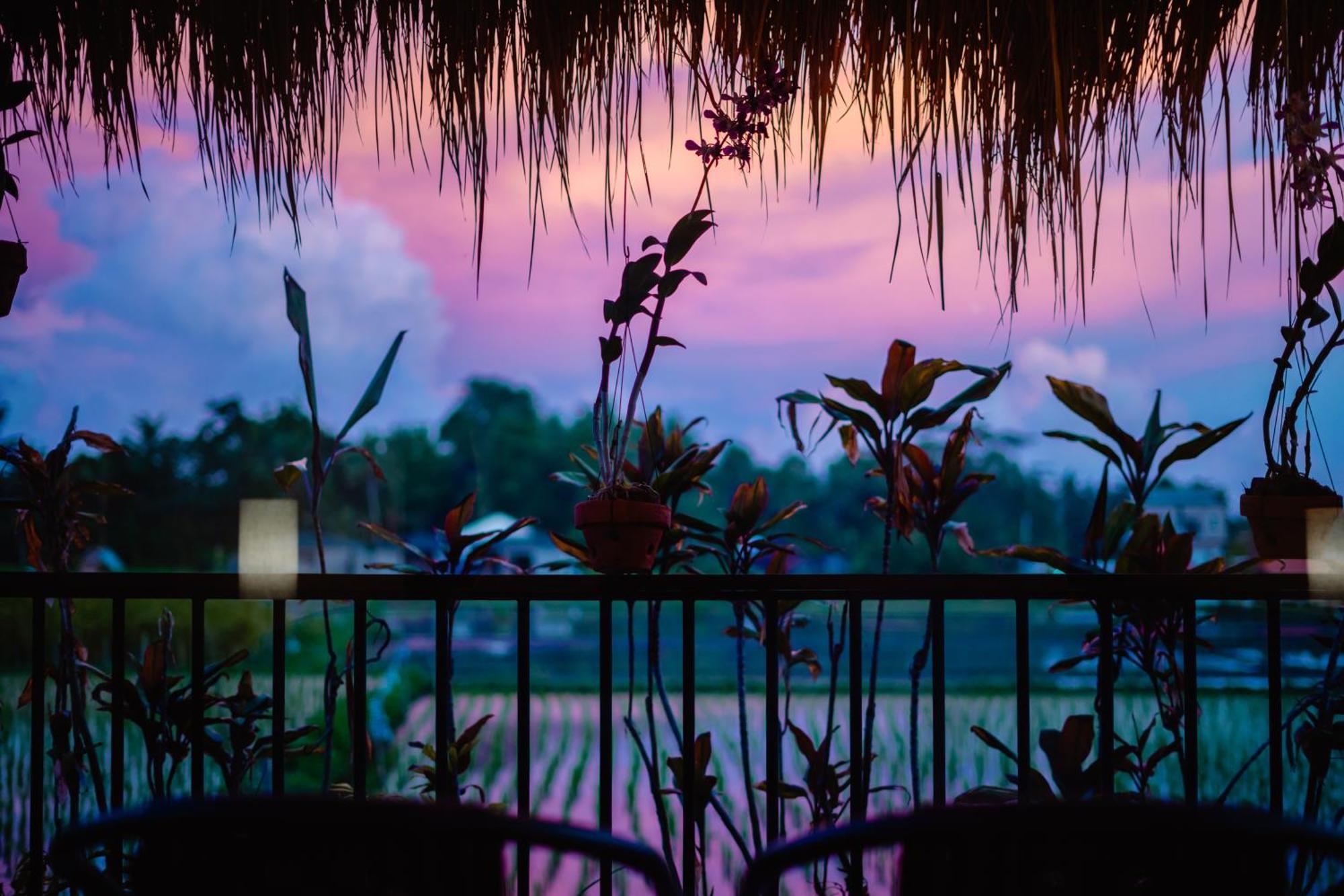 Nila Chandra Bungalows Ubud  Exterior photo